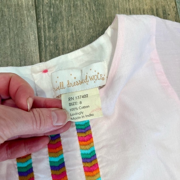 WELL DRESSED WOLF WDW FALL FESTIVAL DRESS size 8 PINK BROWN Embroidery - Picture 3 of 8